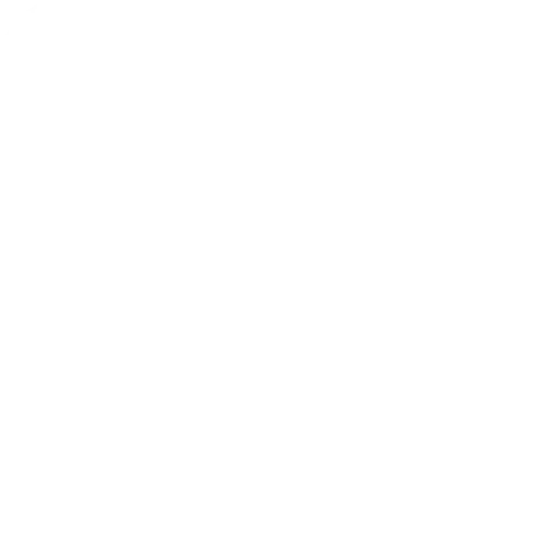 Web_Development_WEBP